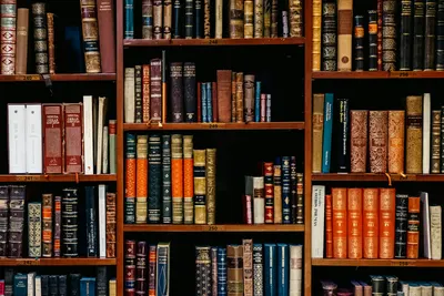 Estante lleno de libros